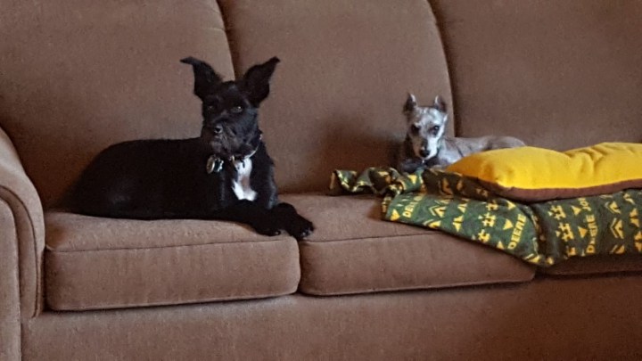 c5be4170-18ce-4416-9d61-604e0b951fc6