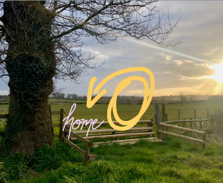 D7C49D81-825F-46D6-8403-85E26A95613F