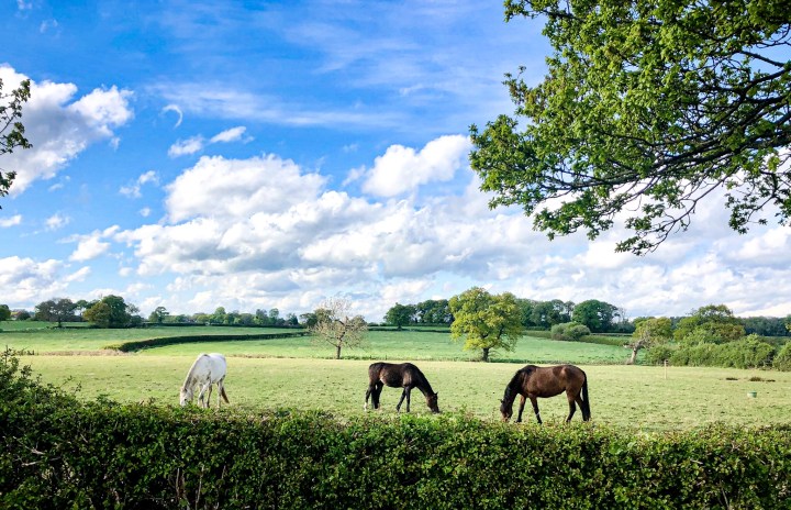 4e65dafc-1e12-4ea4-9936-b3b7eaaa742c