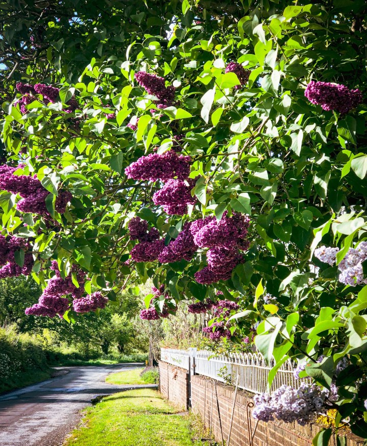 9ce5cd70-8b3a-490d-9f2e-cfafe7fb50f4